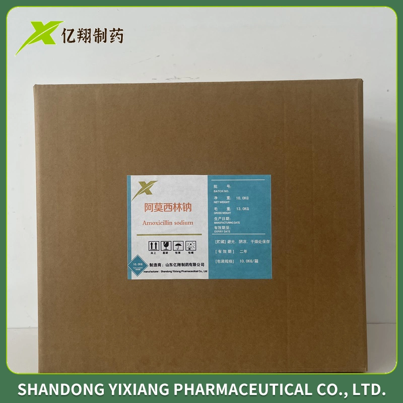 Pharmaceutique Chimique Amoxicilline Sodium CAS 34642-77-8 Antibiotique Amoxicilline Sodium Poudre de Matières Premières Amoxicilline Sodium