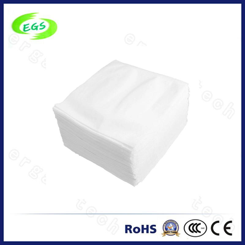 9 Inch 1009sle Polyester Cleanroom Wipe for Cleaning Sensitive Surface