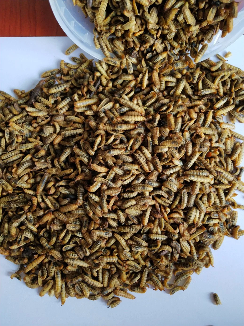 Dried Poultry Use Poultry Black Soldier Fly Larvae