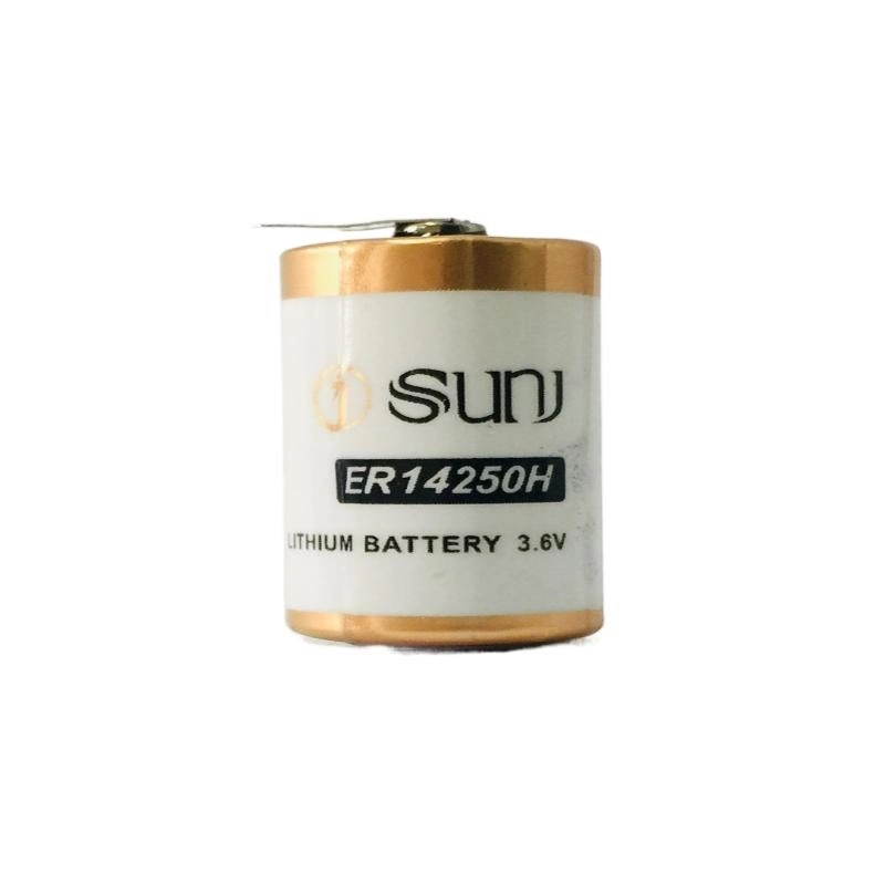 Er14250 3.6V Primary Li-Socl2 1/2 AA Size Bobbin Type Cells Battery Ls14250 with Shell for Smart Meter