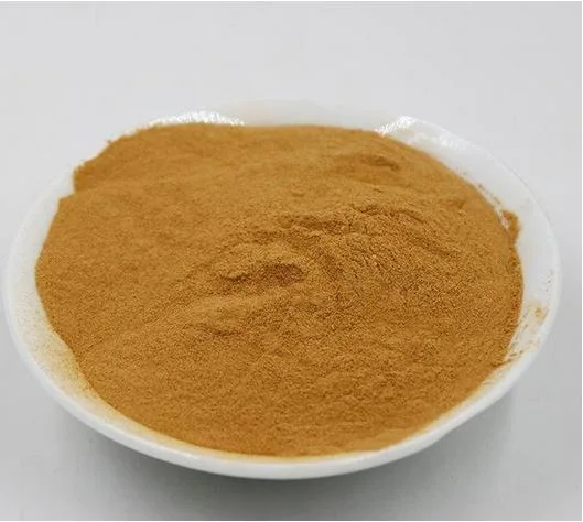 Factory Supply Natural Pure Hedera Helix Leaf Extract/IVY Leaf Extract