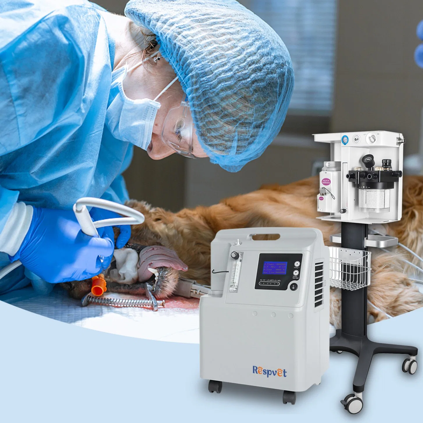 Animal equipment oxygen solutions for veterinary surgical therapy