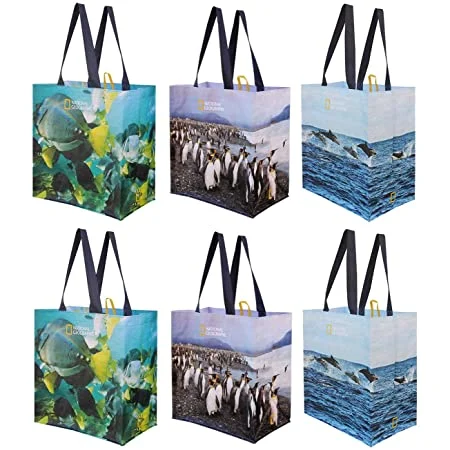 Recycled Pet Bag Shopping Bag Factory Directly Selling Fashion RPET Bag