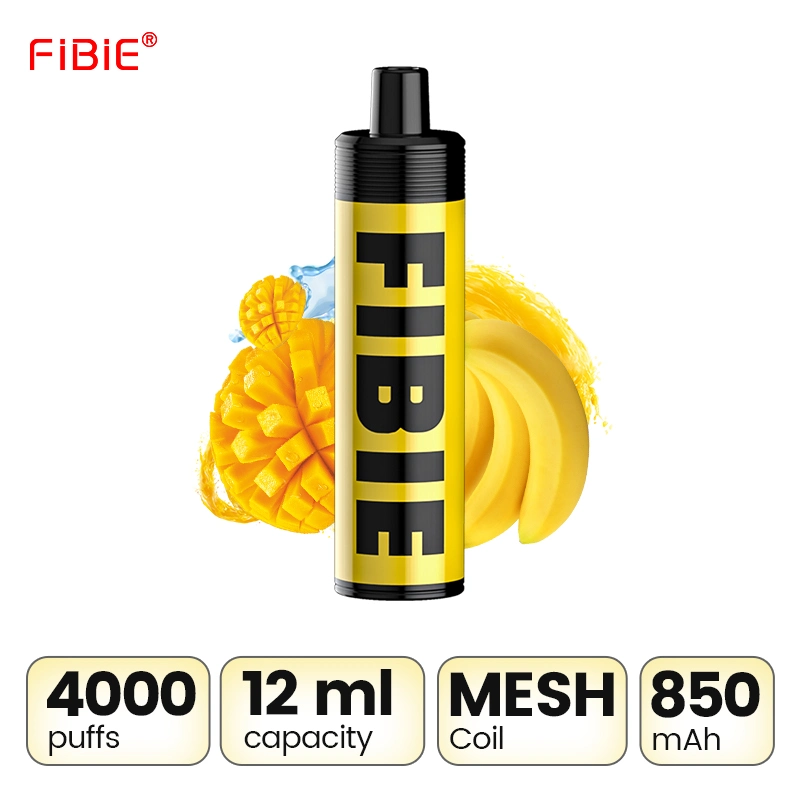 Fibie nueva llegada de la marca del cliente recargable 4000bocanadas Wholesale pulmonar de tipo pluma desechable cigarrillo e inhala Duo de la bobina de malla