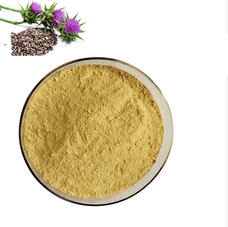 Best Milk Thistle Extract Silybum Marianum Extract CAS No. 84604-20-6