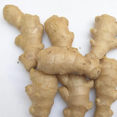 2020 New Crop Air Dry Ginger