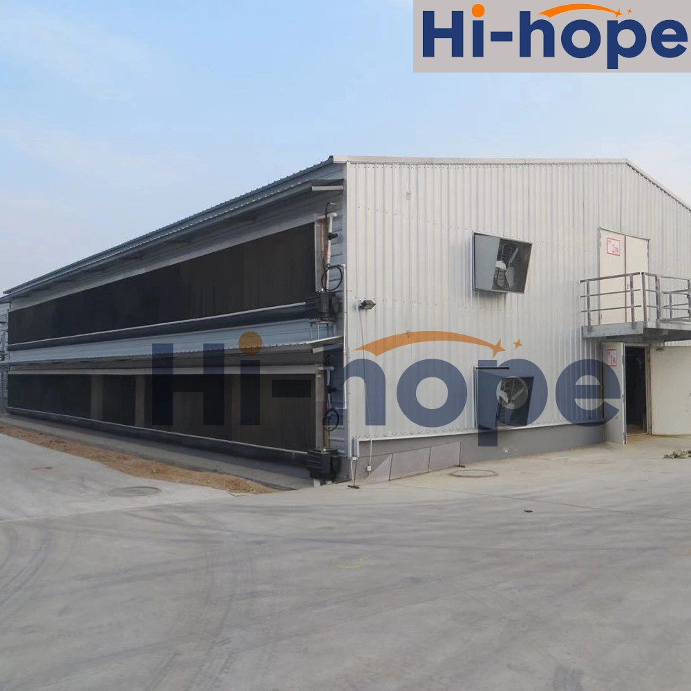 Livestock Chicken House Multi-Floor Steel Structure Building