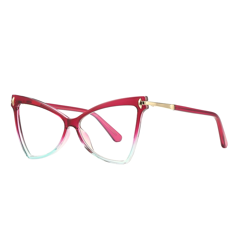 Tr90 Ladies Eyeglasses Sfashion Big Face Anti-Blue Light Glasses Eyewear Factory Wholesale/Supplier Optical Frame