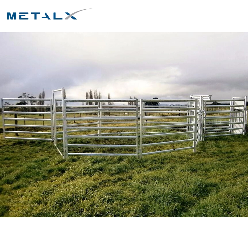 Heavy Duty Galvanized Pipe Livestock Cattle Corral Fence Panels for Australia Market