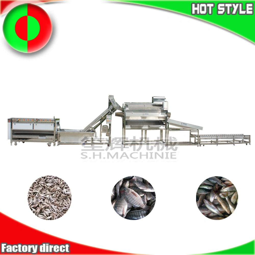 Customized Small Fish Processing Line Machine Tilapia Dace Grading Machine Dace Scale Removing Machine Manufacturer