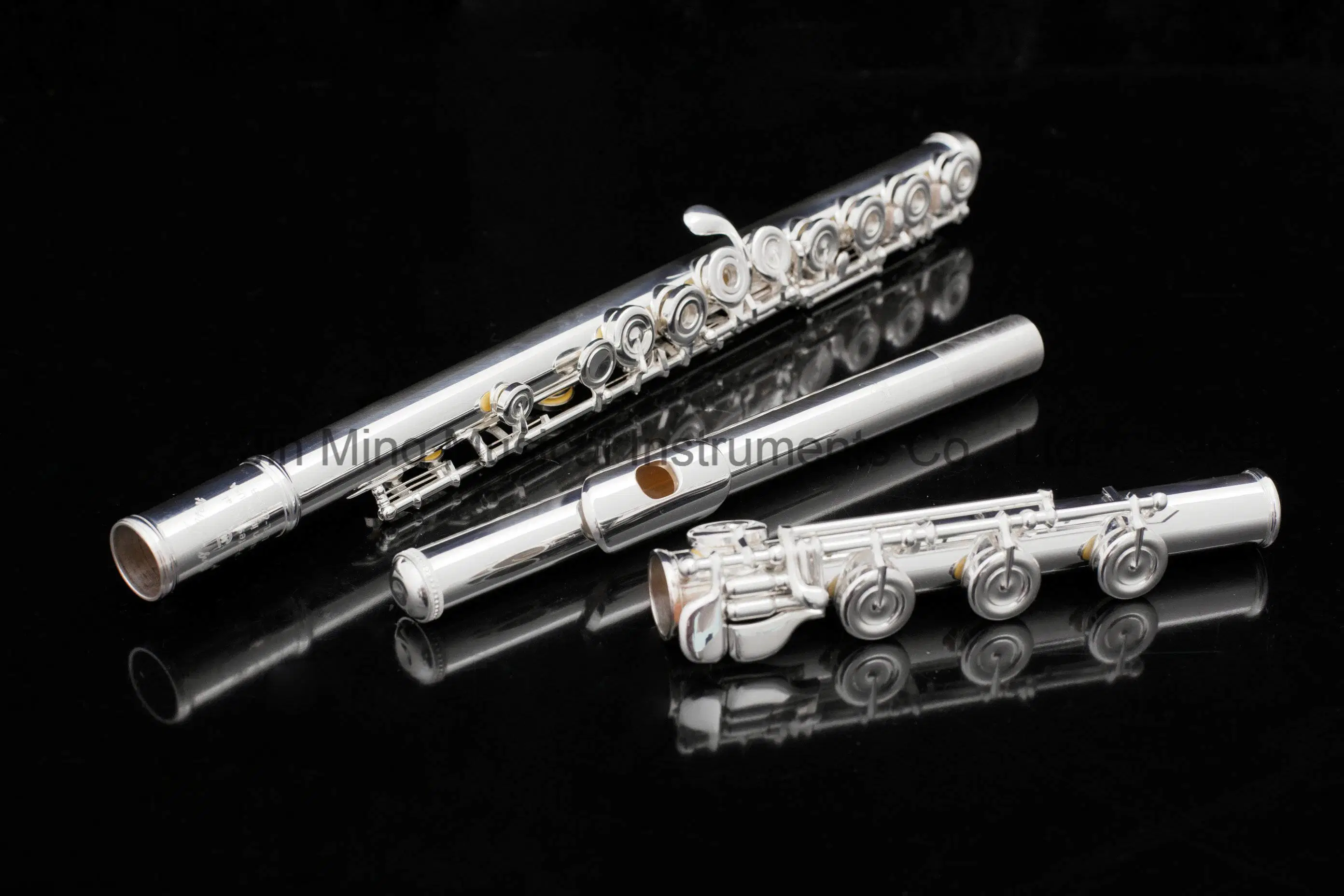 Solid Silver Body and Solid Key Mechnics Professional Flute Manufacturer