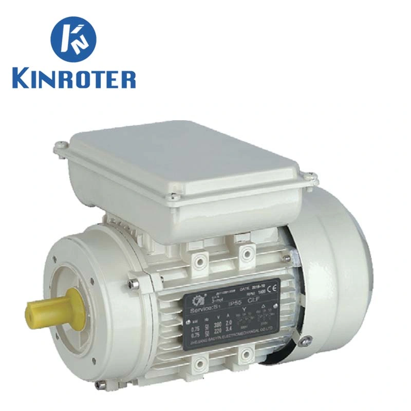 Ml/YL Serie 1/3HP 1/2HP 3/4HP 1HP 2HP 3HP 4HP 5HP mit 2, 4, 6pole Zweiwert-Kondensator einphasiger Asynchronmotor 220 V230V50Hz60 Hz