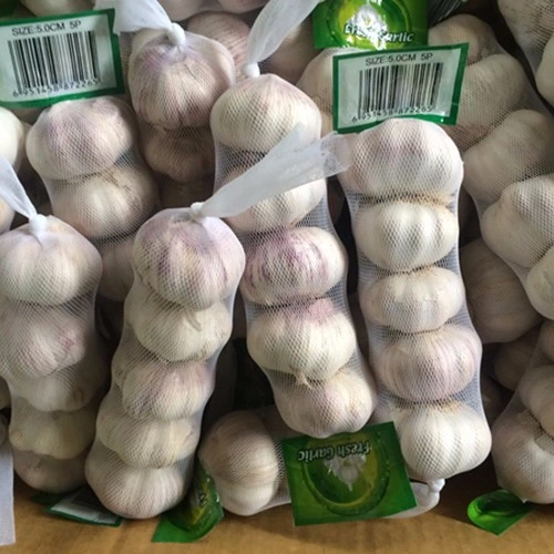 Chinese Low Price Fresh Garlic 2022