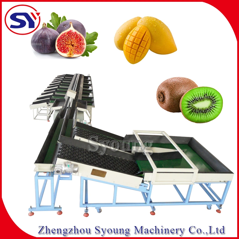 Passion Fruit Grader Weight Selecting Machine with Weighing Module