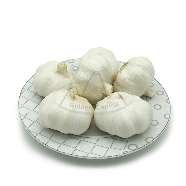 China/Chinese Fresh White Garlics Supplier (red garlic/white garlic) 500g/1kg