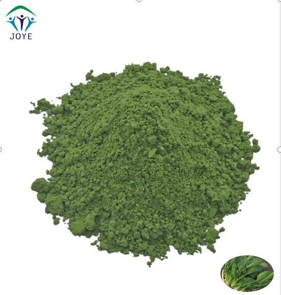 ISO Organic 100% Nutual Vegetable Spinach Extract Juice Powder