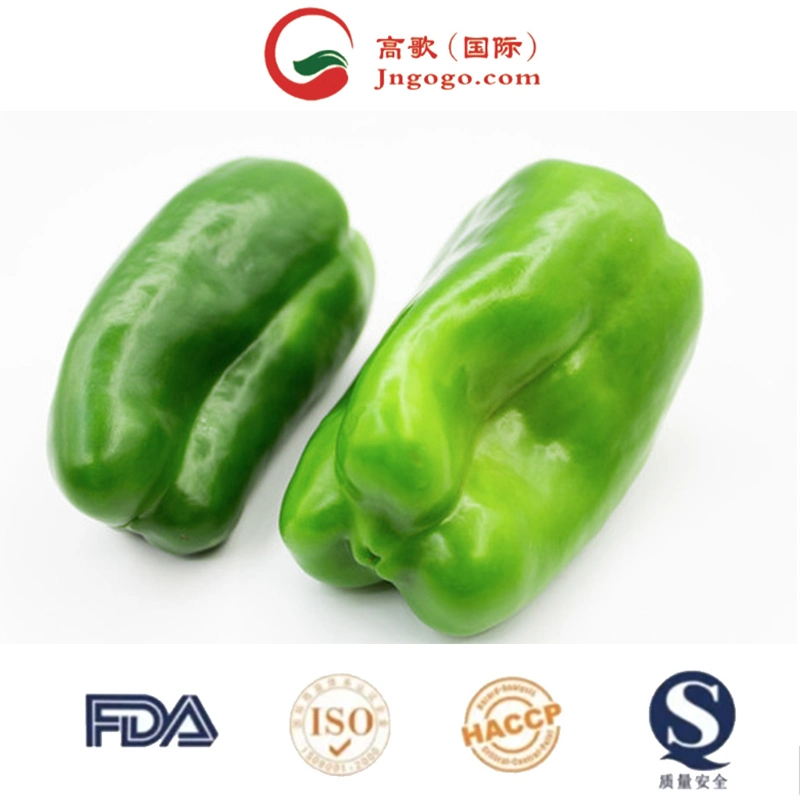 High quality/High cost performance  Green Chili for Sale