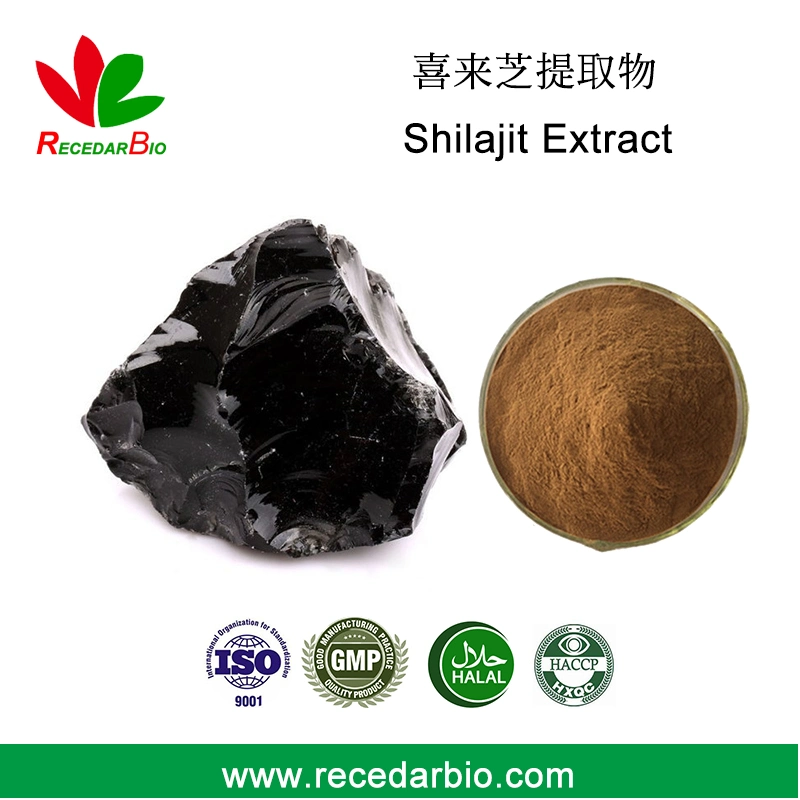 Fulvic Acid Shilajit natural en polvo extracto