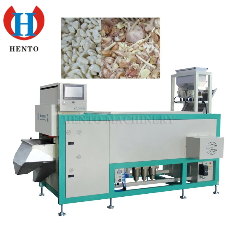 Hot sale Peeled Garlic Color Sorting Machine