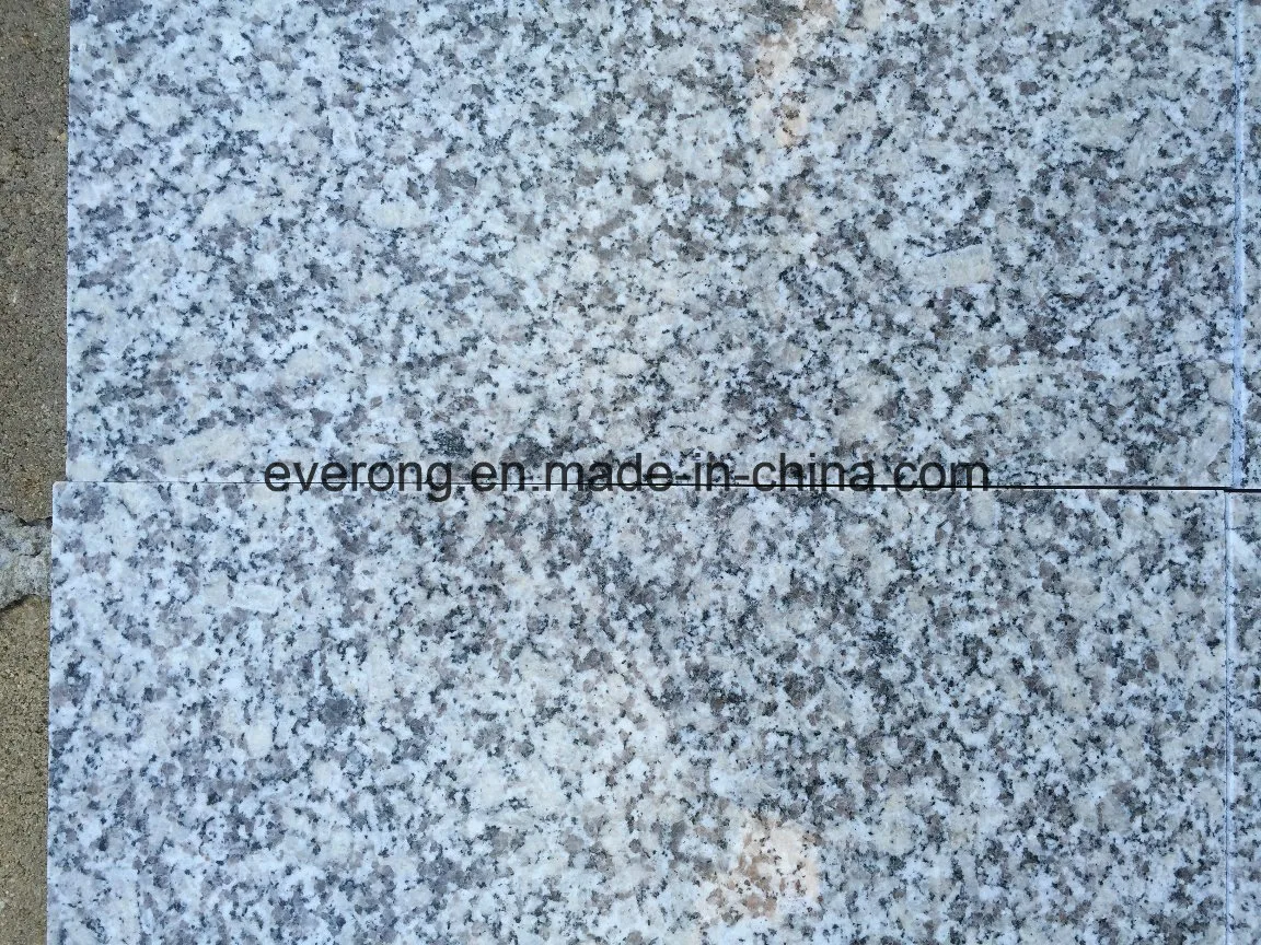 Commerce de gros Gris Clair chinois Granite Tile de propriétaire de la carrière