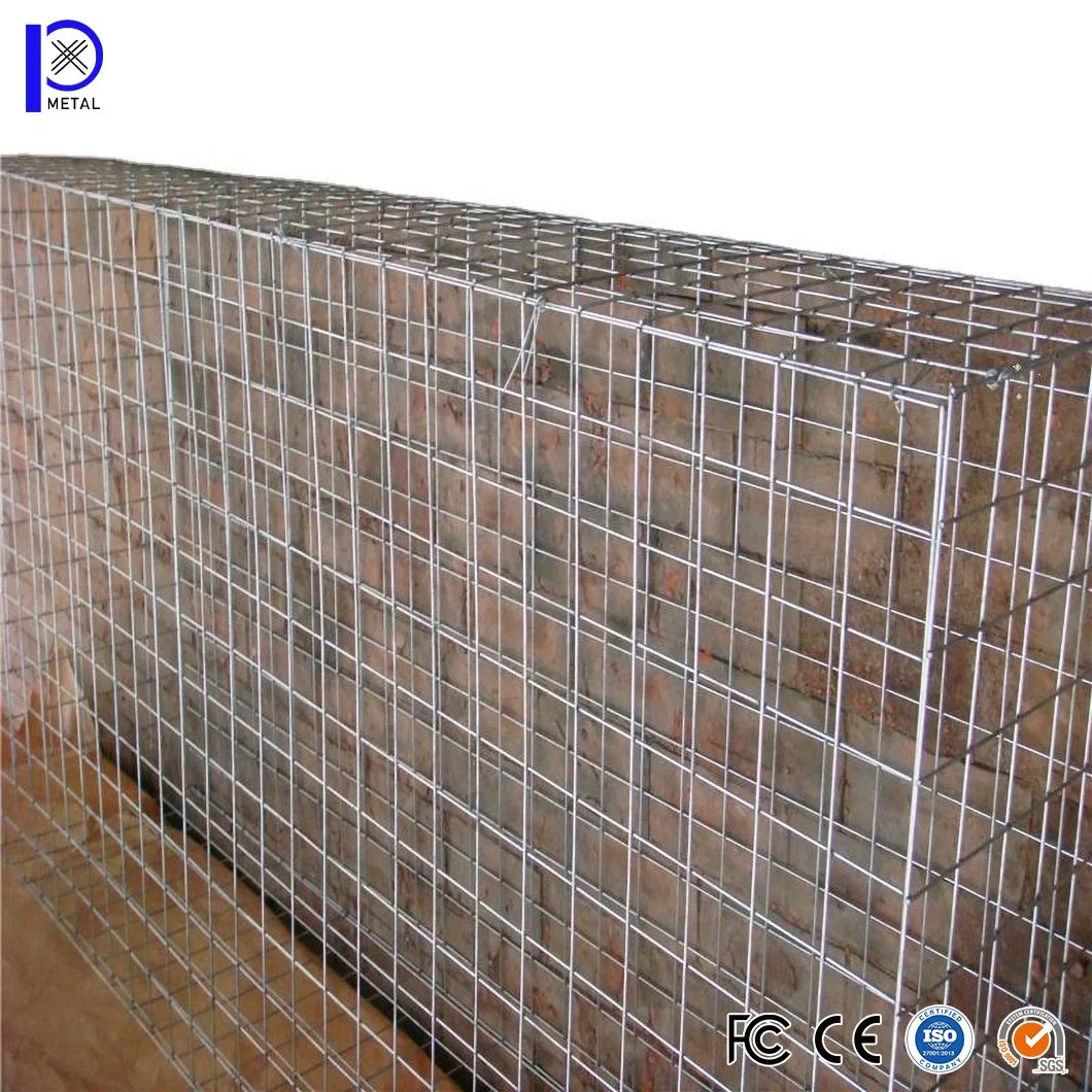 Pengxian 2X2 Galvanized Cattle Welded Wire Mesh Panel China Suppliers 1000 X 300 X 300 mm Welded Gabion Wall Used for Gabion Basket Wall