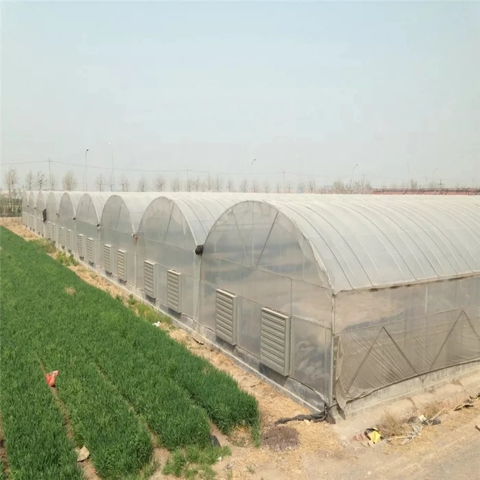 Nude Xinhe Plastic Products PE Film for Venlo Greenhouse