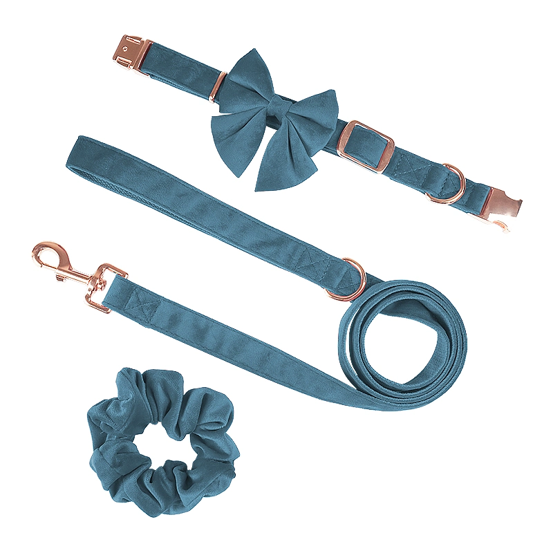 Neueste Produkte Haustier drei Sets mit Besitzer Samt Cotton Rose Goldenes Schnalle Zink Clip Haarring Hundebogen Knoten Kragen Leine