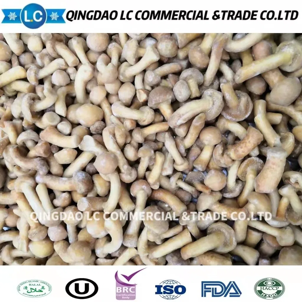 Fresh Organic Frozen Nameko Mushroom, IQF Nameko Mushroom with Wholesale/Supplier Price