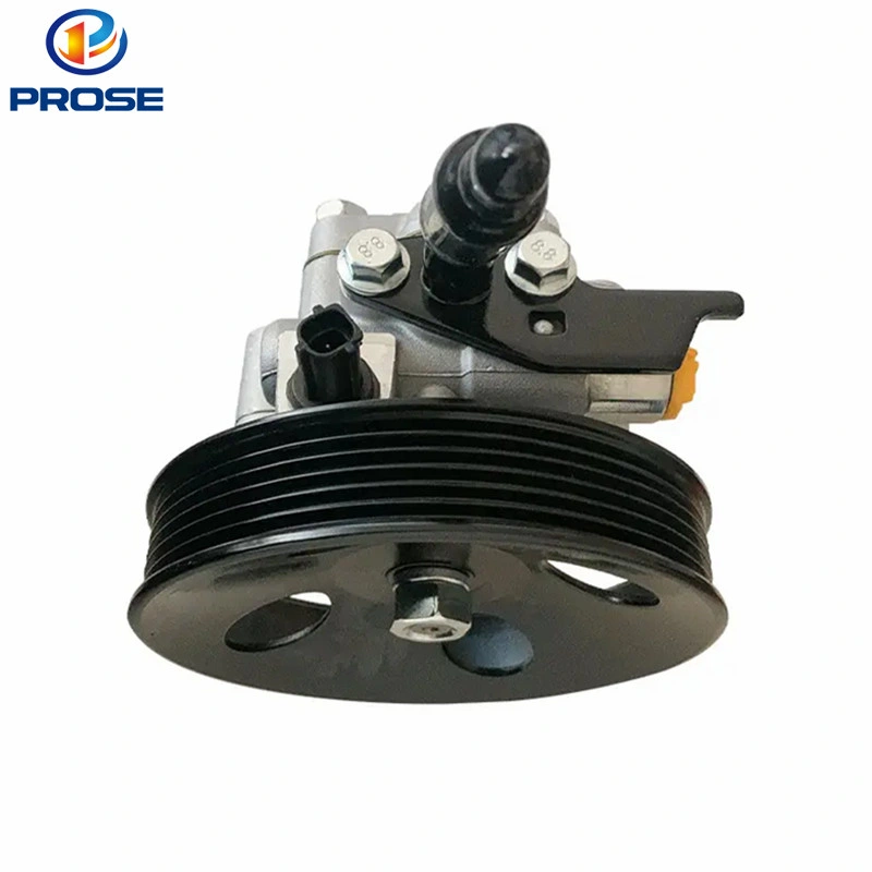 High Performance Auto Steering Systems Power Steering Pump 57100-2b300 for Hyundai