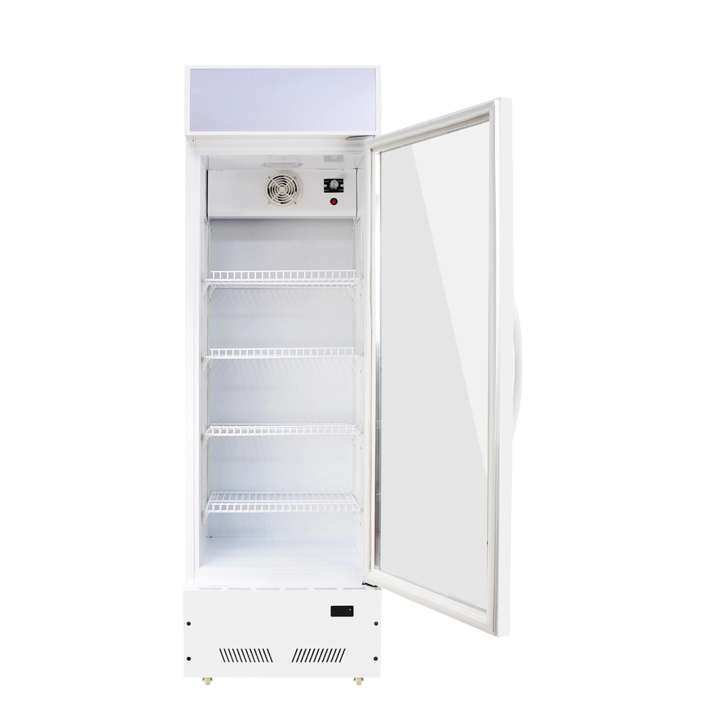 2000L Double Door Upright Glass Door Cooler Large Capacity Beverage Cooler Commercial Display Fridge