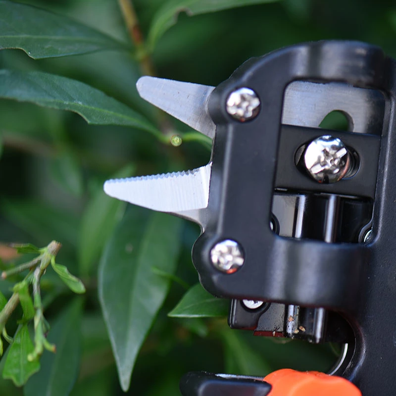 Herramientas de jardín Pruner Suca Injerto del picador de corte de la vacunación de la planta de árboles frutales de tijeras cizallas de injerto de vid de uva herramienta Tijeras