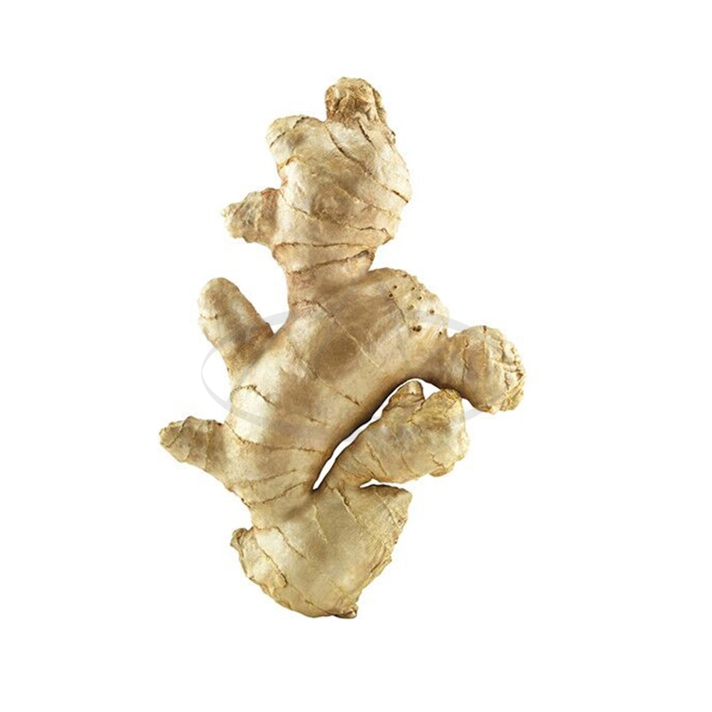 Dried Bulk Fresh Market Price Buy Dried Ginger