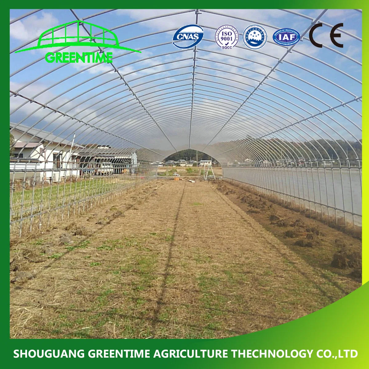 Factory Price High Quality Plastic Film Greenhouse for Flower Hydroponic Growing