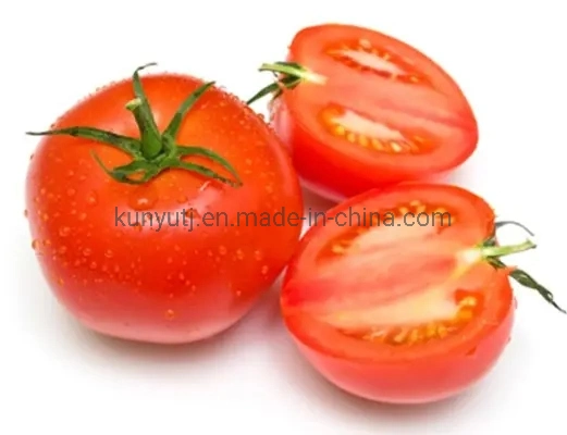 100% naturel de la poudre de légumes séchés de pulvérisation de poudre de tomate