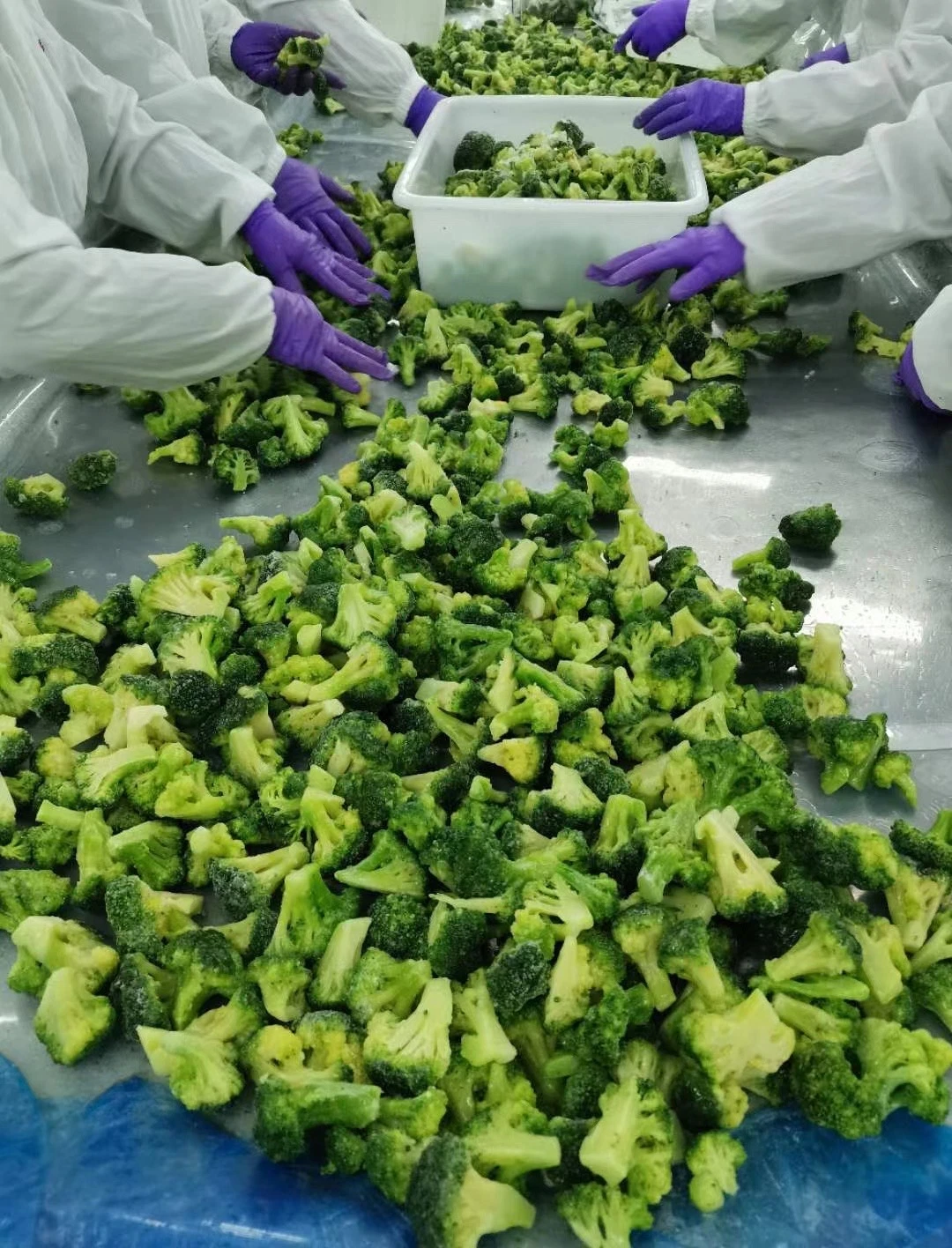 Excllent brocoli surgelé de légumes frais de la qualité des aliments IQF