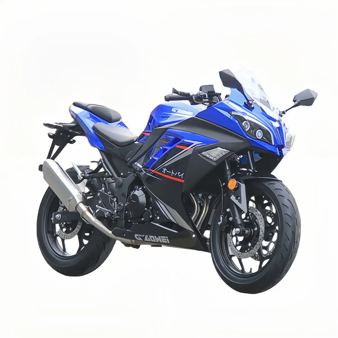 محرك شارع موتور شارع Daniu 250cc مبرد بالزيت