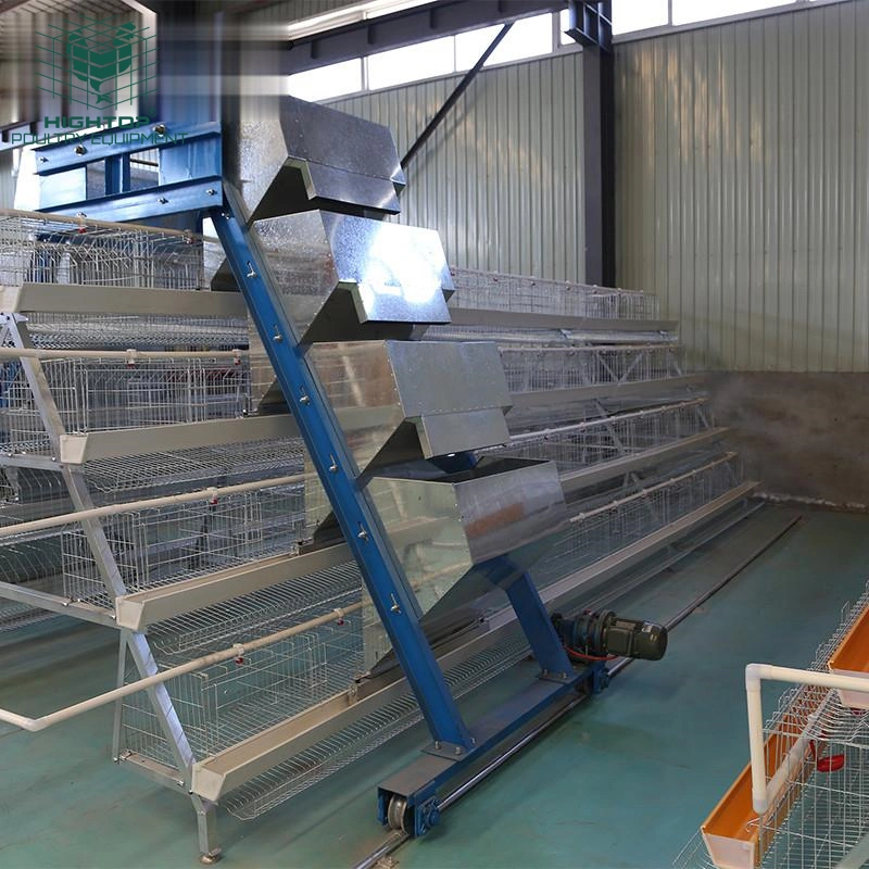 Hot DIP Galvanized Metal de gran escala Avicultura House Coop 1000 5000 HEN huevo que pone capas de pollo en Filipinas