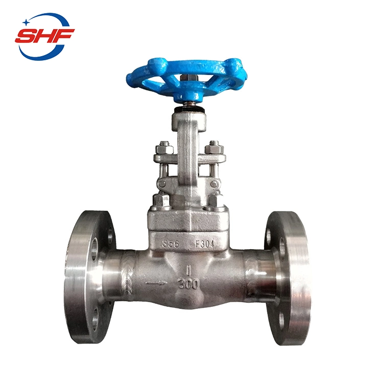 Sw Connection F304 Stainless Steel Forged Globe Valve