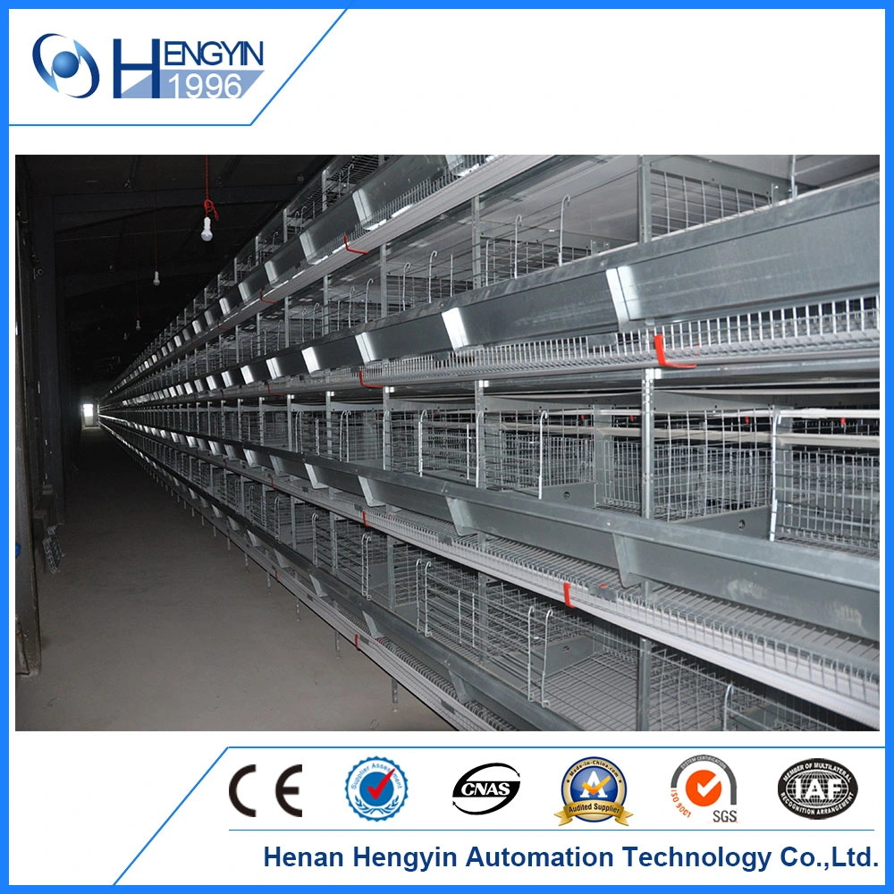 Animal Livestock Poultry Cage Equipment for Day Old Chicken Bird