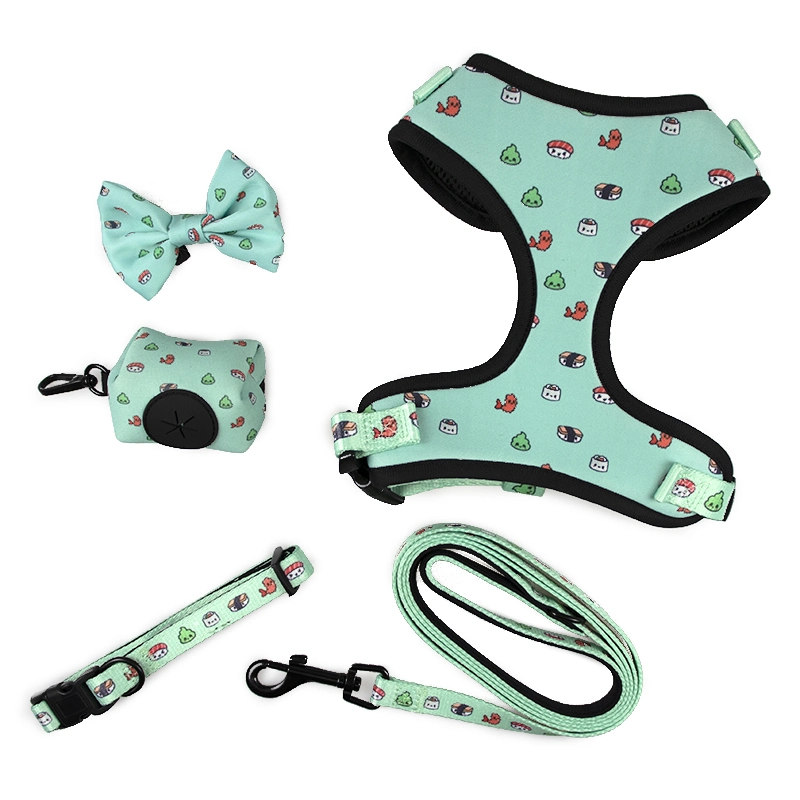 2021 Fashionable High Quality Pet Supplies Custom Print Dog Harness Belt and Leash Set Dog Accessories