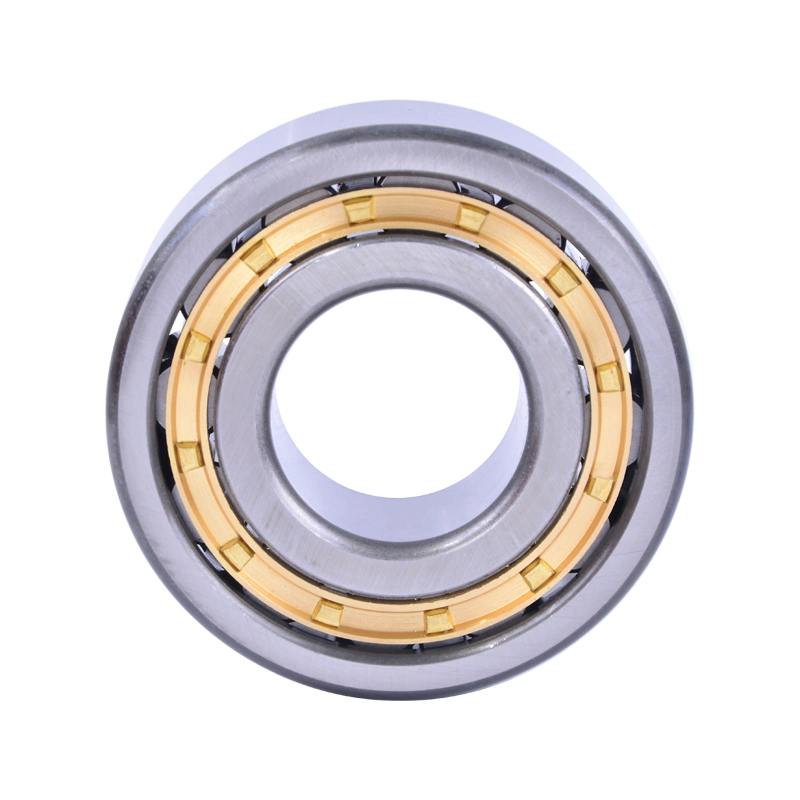 Nj1010 Nj210e Nj2210e Nj310e Nj2310e Nj410 Nj1011 Nj211e Nj2211e NSK NTN Koyo Bearing Single Row Cylindrical Roller Bearing