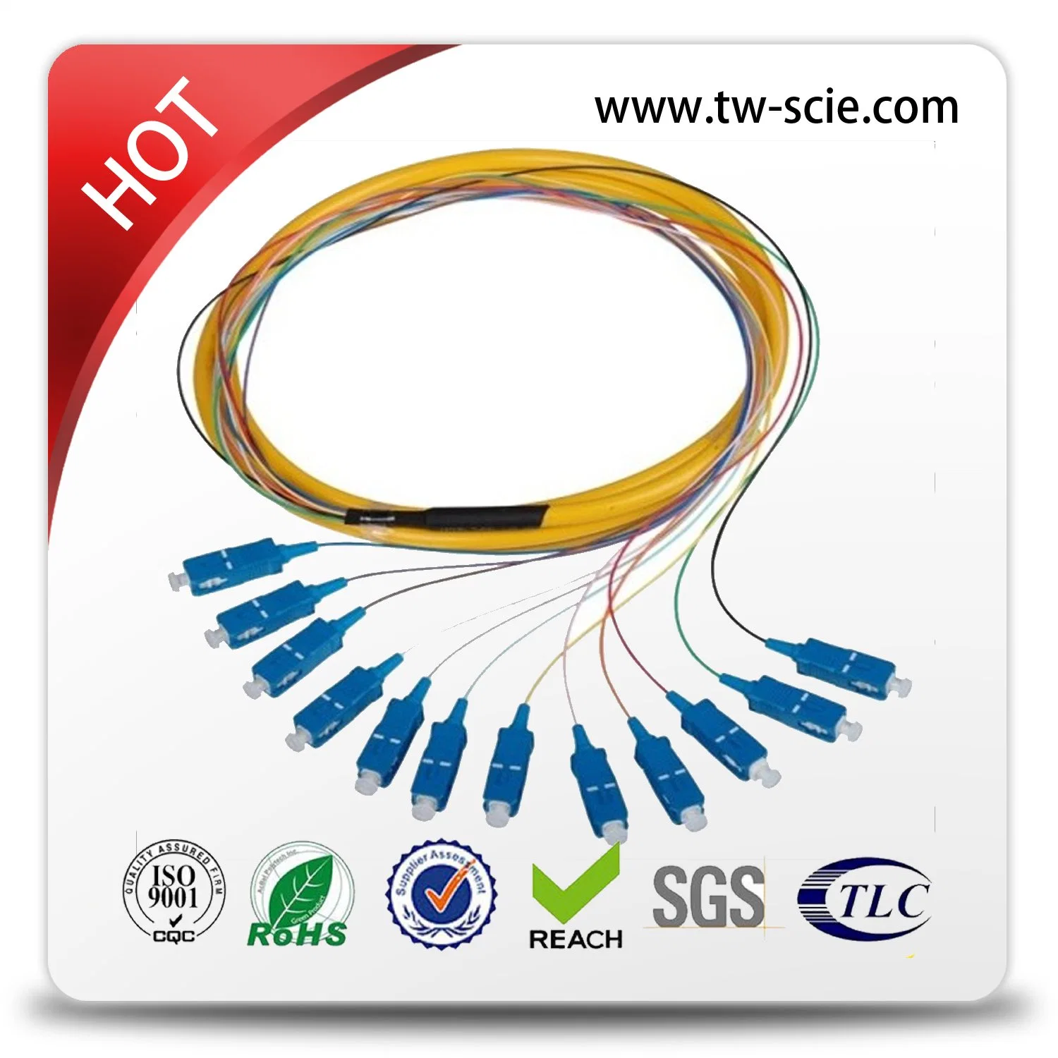 24/48 Core Fiber Optic Distribution Breakout Patch Cord