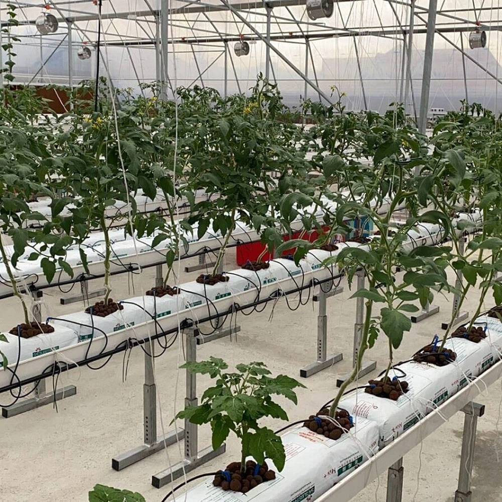 Commercial Tomato Plastic Growing Tube System Large Size PVC Pipe with Cocopeat Grow Bag Drip Irrigation System