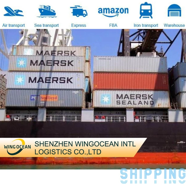 Safe Fast and Professional Shenzhen Logistics Forwarder Sea Freight Shipping Cargo to Mexico/ Australia