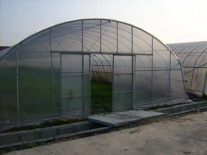 Landwirtschaftliche Kunststoff-Film Single-Span-Film Gewächshaus mit Stahlrohr für Tomaten/Erdbeere