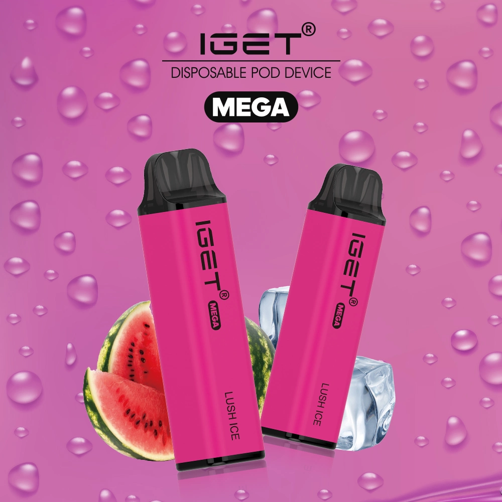 Usine de Shenzhen Iget Roi original 2600bouffées Vape Mini cigarette électronique