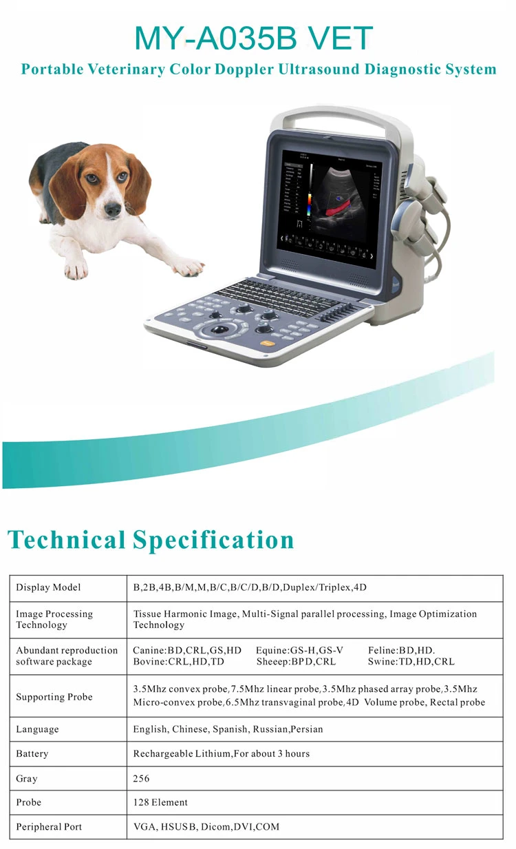 My-A035b Medical Supplier Cheap Portable Ultrasound Vet Sheep Ultrasound Machine Color Doppler 3D 4D