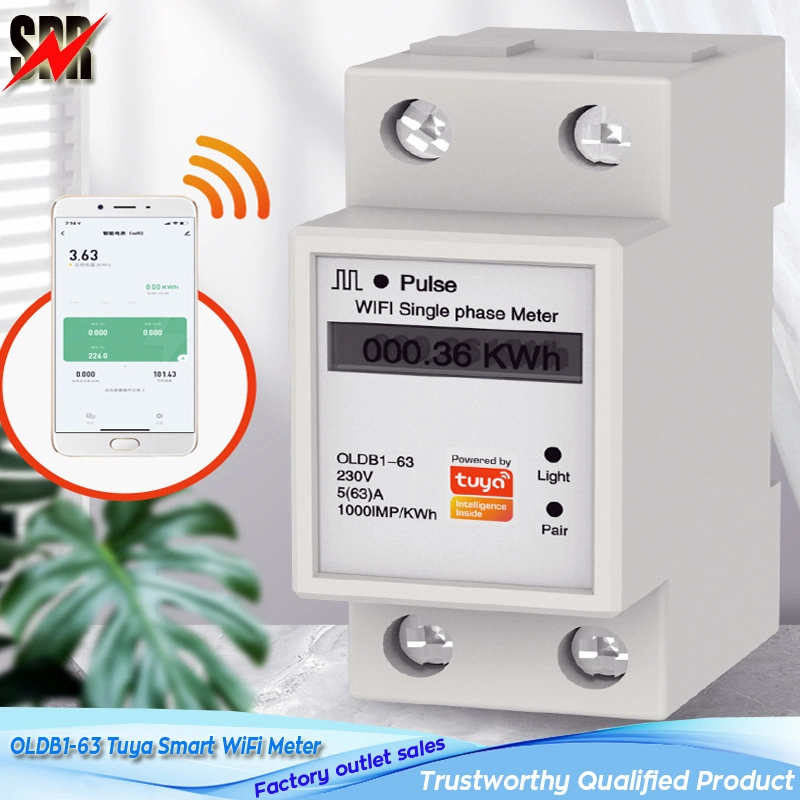 Model Oldb1-63 5/63A Tuya Smart WiFi Single Phase Digital Watt-Hour Power Meter