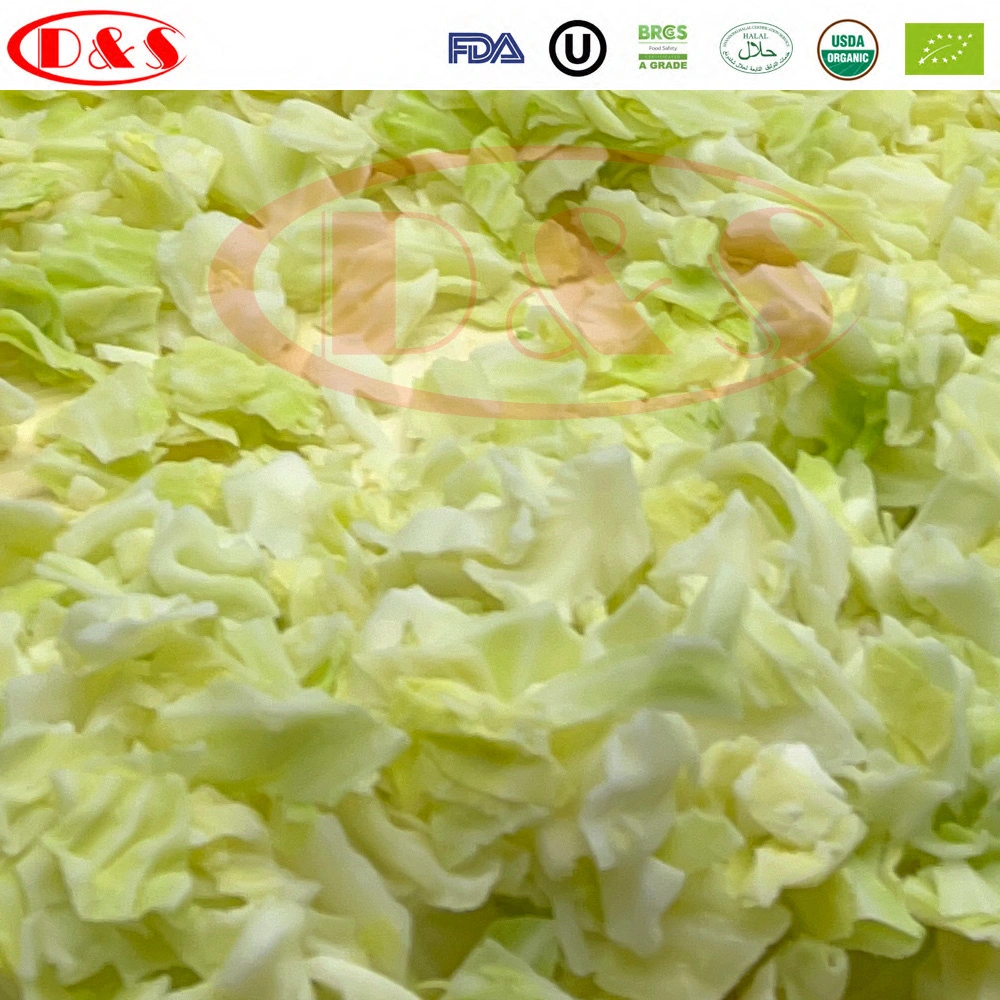 Nuevo cultivo chino congelado Verde hielo/Slice IQF Cabbage para exportar