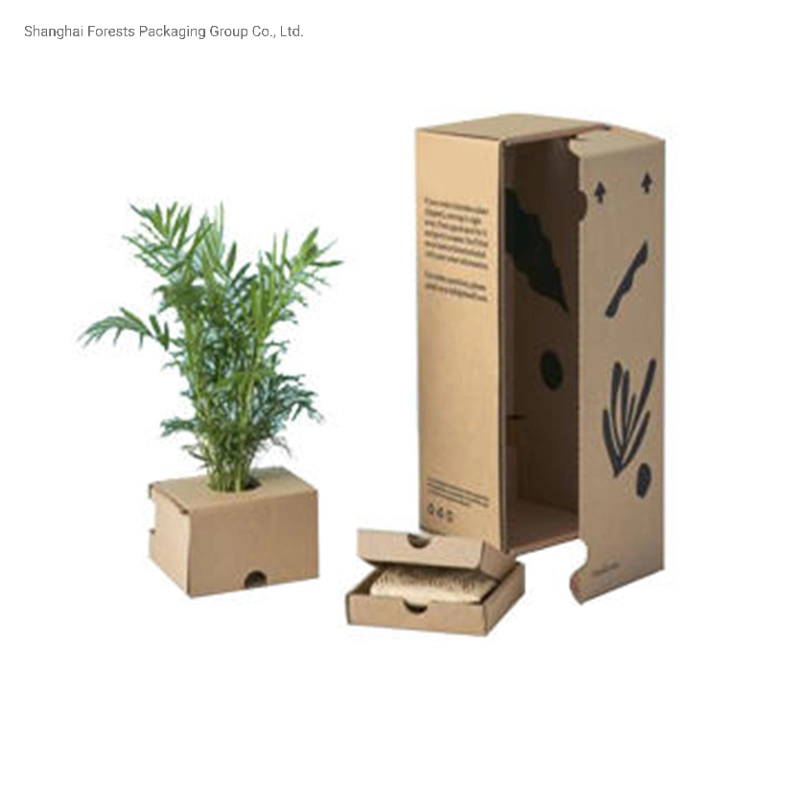 Wholesale/Supplier Custom Logo Real Artificial Plant Pots Corrugated Paper Box Succulent Plant Pot Shipping Packaging Box Custom Business Shipping Boxes